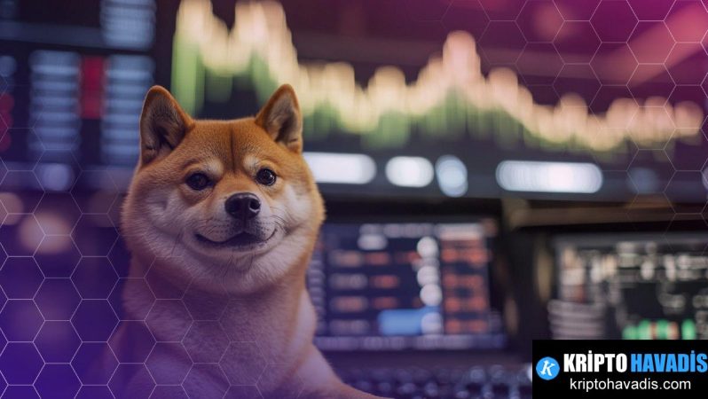 Bitwise Dogecoin ETF: Yeni Nesil Altcoin Yatırımları ve Piyasadaki Kaygılar