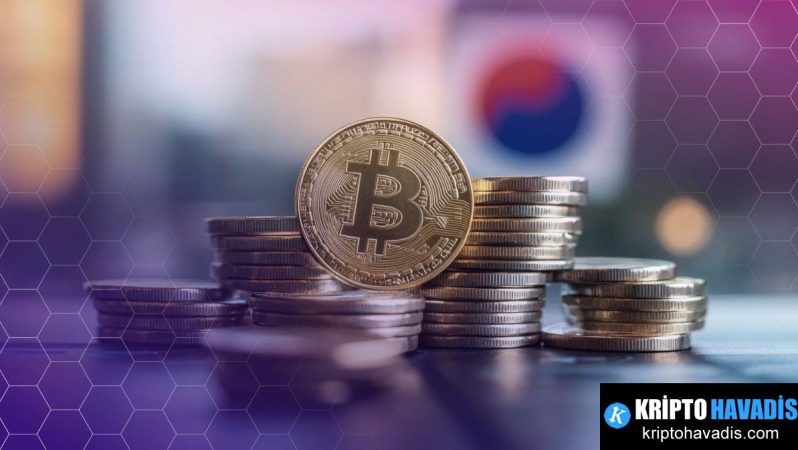 Busan’ın Dongbaek-jeon Stablecoin Projesi: Naver, Hashed ve BDAN İş Birliğiyle Dijital Ödeme Dönüşümü