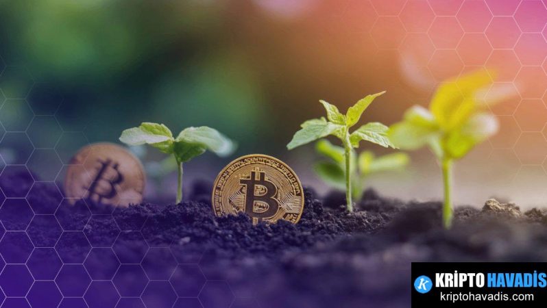 DeFi ve Yoksulluk Üzerine Yeniden Şekillenen Finansal Adımlar: Global Perspektiften Türkiye’ye Uzanan Etkiler