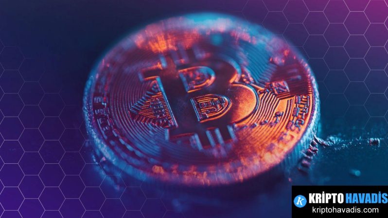 Dijital Sermayeden Dijital Finansa: Bitcoin ile Stablecoinler Arasındaki İki Ayrı Ekonomi
