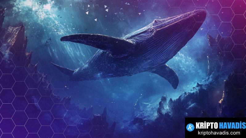 Ethereum’da Mega Uzun Pozisyonu ve Şüpheli Cüzdan: Kripto Piyasasında Belirsizlik Dalgası