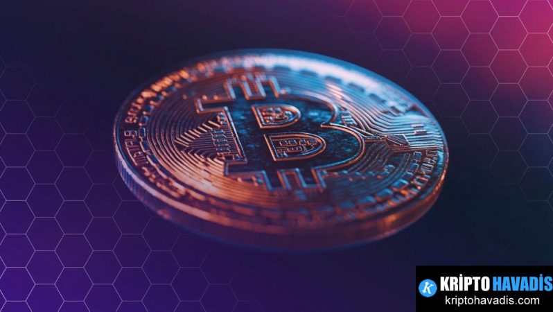 Harvard’ın Bitcoin Pozisyonu: Eğitim Kurumlarının Ticarete Açılan Kapısı