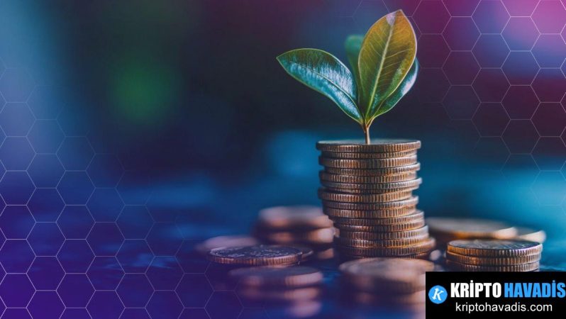 Kalshi’nin Kozmetik Büyümesi: 1 Milyar Dolarlık Yatırım ve Piyasa Rekabeti