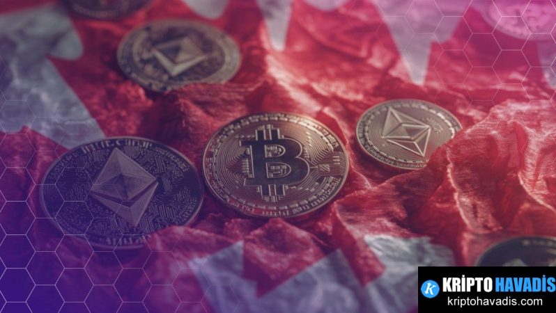 Kayıtsız Kripto Para Hizmetleri ve Türkiye İçin Uyarı: Finanasyon İzleme Boşlukları