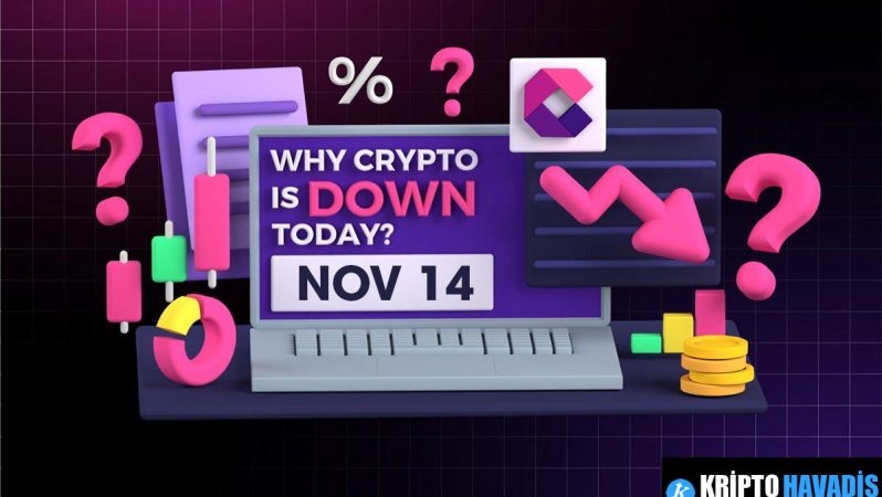 Kripto Piyasa Analizi: Düşüş Eğilimi Devam Ediyor ve Piyasa Göstergeleri Nasıl Şekilleniyor?