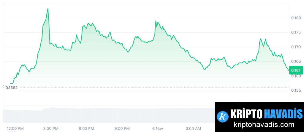 Kurumsal ve Bireysel: Altcoin Piyasasında Belirsizlik İçinde Yükseliş Olanakları