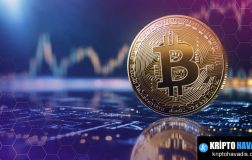 Bitcoin Hazine Rüyası: Finansal Dalgaların İçinden Çıkan Dijital Varlık Stratejileri ve Piyasa Etkileri