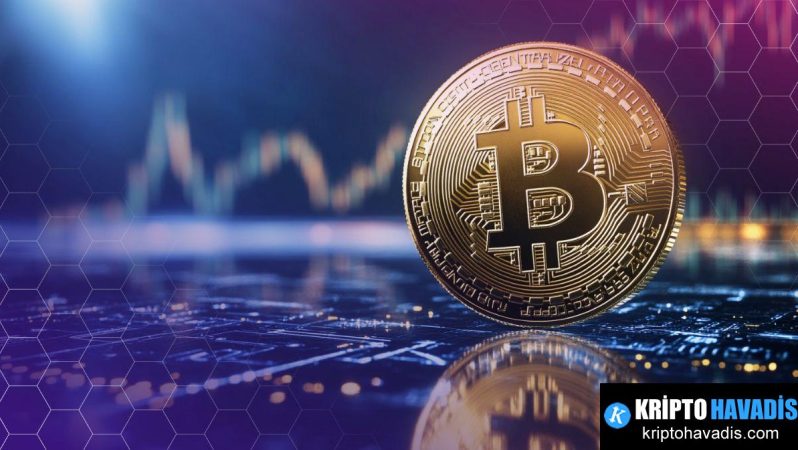 Bitcoin Hazine Rüyası: Finansal Dalgaların İçinden Çıkan Dijital Varlık Stratejileri ve Piyasa Etkileri