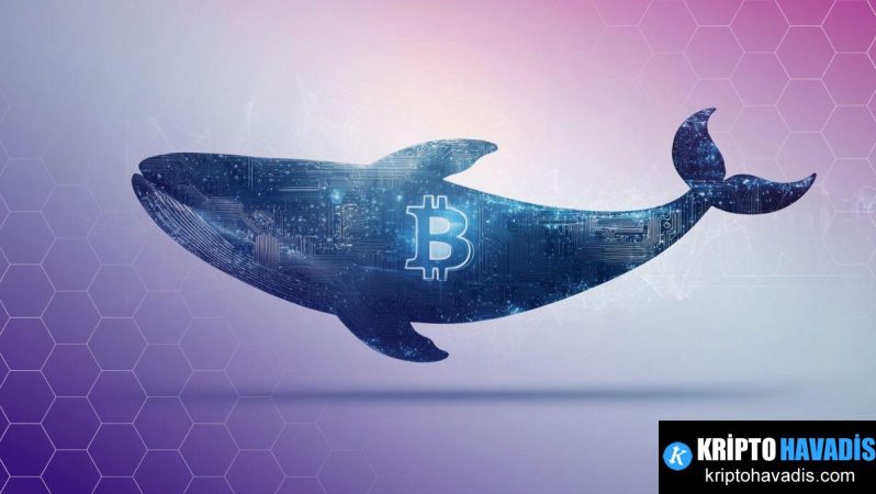 Bitcoin Sahibinin Gelir Amaçlı Çağrı Stratejileri: Uzun Süreli Tutulan BTC Üzerinde Nasıl İşleniyor?