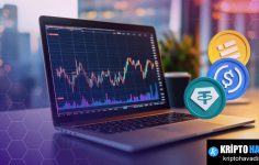 Fin: Büyük Transferler İçin Stabilcoin Tabanlı Ödeme Ağını Şekillendirmek