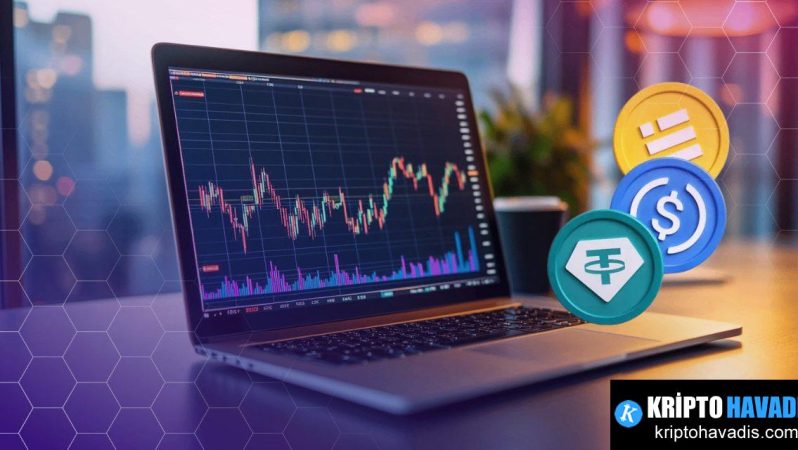 Fin: Büyük Transferler İçin Stabilcoin Tabanlı Ödeme Ağını Şekillendirmek