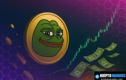 PEPE Başlangıçta Yoğun Konsantrasyon: Bubllemaps Analizi ve Meme Coin Pazarındaki Riskler