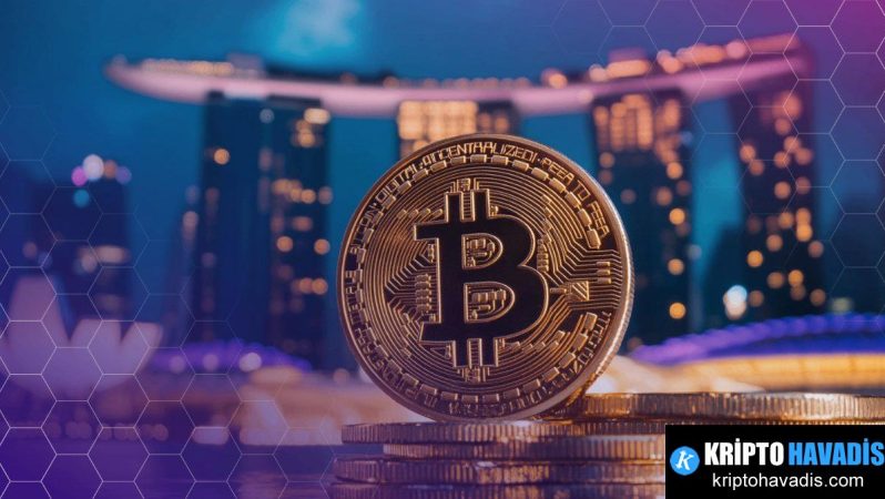 Singapur, 2025 Küresel Kripto Sıralamasında Zirvede: Düzenlemeler ve Kurumsal Hazır Oluşun Gücü