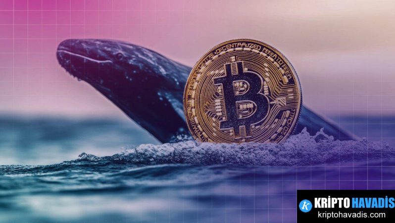 Twenty One: NYSE İçin Hazırlandığımız Bitcoin Transferinin Ardındaki Strateji