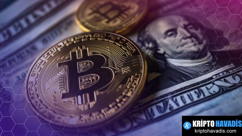 2025 Kripto Zenginlikleri ve Bitcoinin Rüzgârı: Kârlar Düşüp Değerler Geri Gelirken