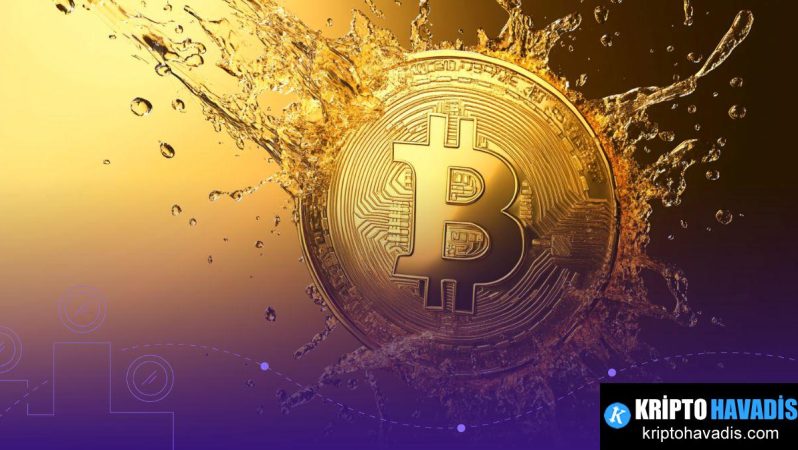 Delaware Life, Kripto Erişimini Sermaye Koruması ile Birleştiren Yeni Bir FIA Sunuyor