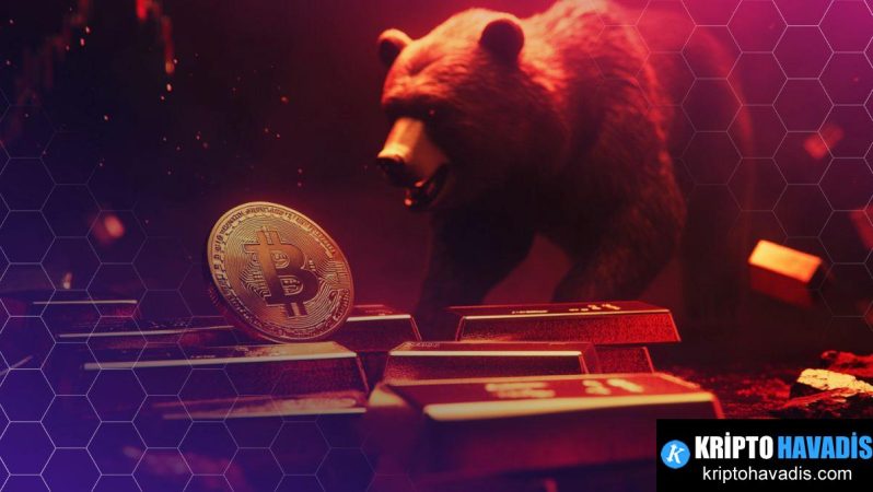 VanEck’in 2026 Görünümü: AI, Özel Krediler ve Altınla Risk-On Stratejisi