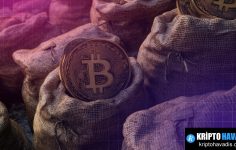 Zcash İçin Şifreli Destek: Winklevoss Kardeşler ve Shielded Labs’ın ZEC Bağışı