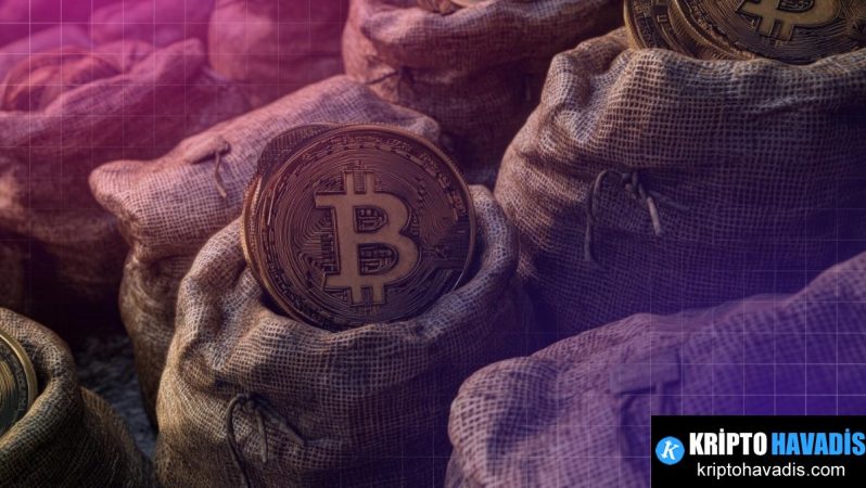 Zcash İçin Şifreli Destek: Winklevoss Kardeşler ve Shielded Labs’ın ZEC Bağışı