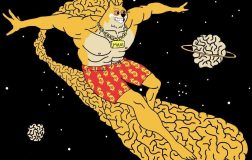 MemeCore Hard Fork sonrası Piyasadaki Kayma ve MAXI Presale’de Yükseliş