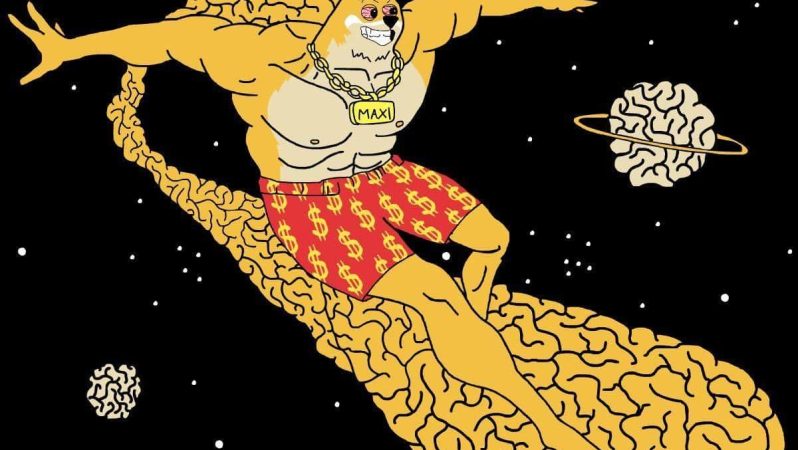 MemeCore Hard Fork sonrası Piyasadaki Kayma ve MAXI Presale’de Yükseliş