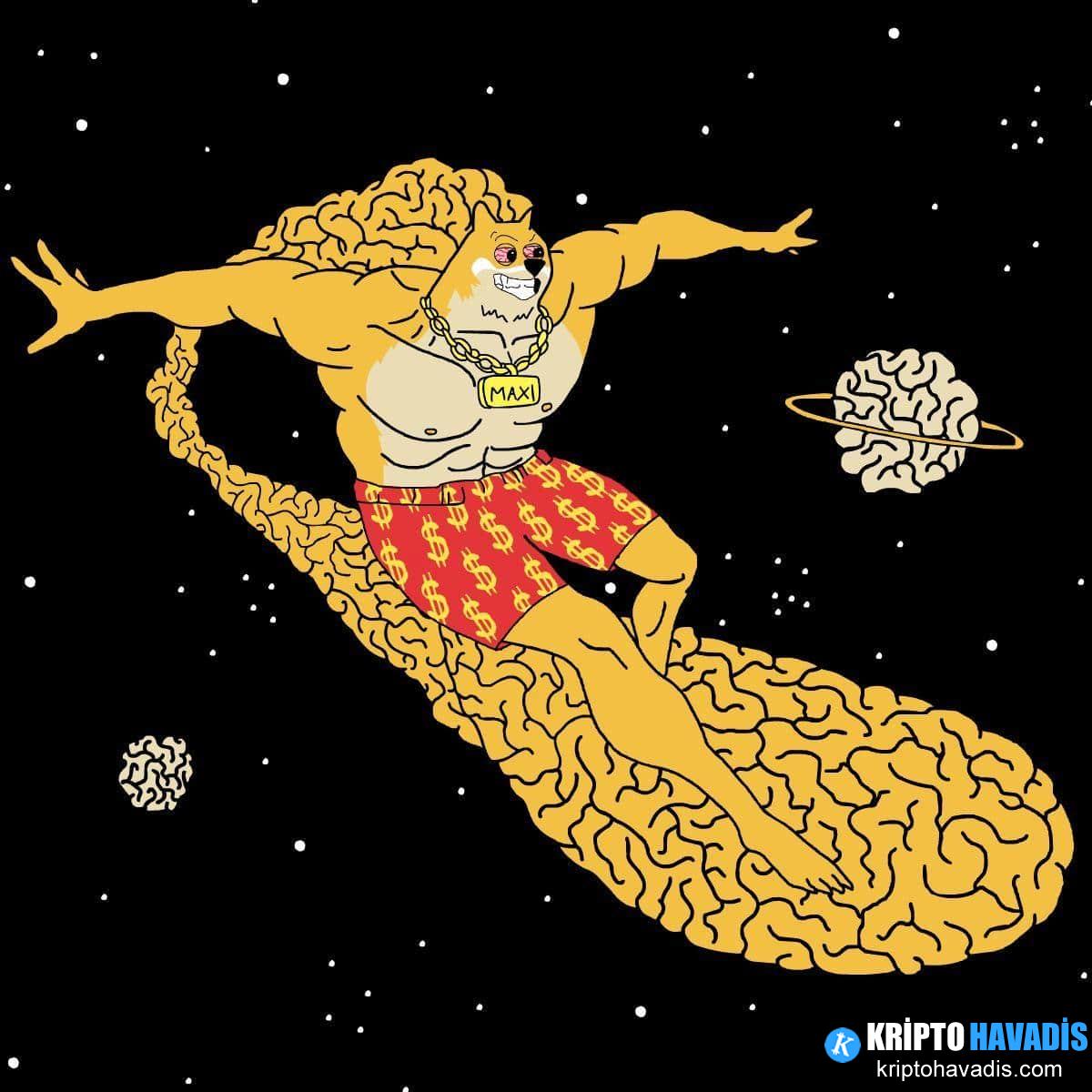 MemeCore Hard Fork sonrası Piyasadaki Kayma ve MAXI Presale’de Yükseliş