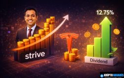 Strive’in Bitcoin Odaklı Sermaye Yapısı: Tesla’yı Geride Bırakan Yeni Liderlik