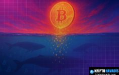 Web İçin Özet Başlık ve İçerik Uyumlu İçerik Kılavuzu