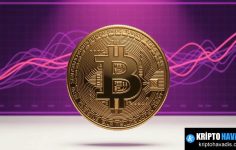 BTC Ağ Aktiviteleri ve 365 Günlük Ortalama Çıkışıyla Oluşan Boğa Eğilimi Analizi