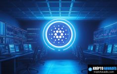 Cardano’nın Yönetim, Konstitüsyon ve Yatırım Planının Dili: Stratejik Bir Yeniden Yapılanma