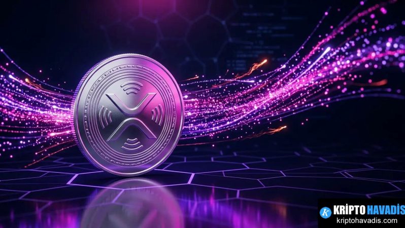 Ripple XRP Güvenliği Tartışması: Dağıtım Hızı ve Piyasa Algısı Üzerindeki Belirsizlikler